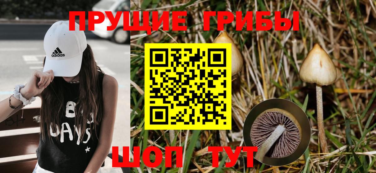 Псилоцибиновые грибы MAGIC MUSHROOMS  Вход с VPN  Фурманов 